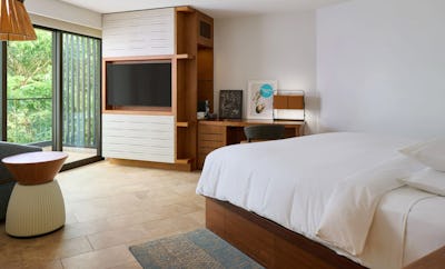 1 King Bed with Resort View