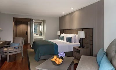 DELUXE GARDEN PLUS ROOM