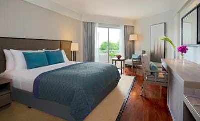 DELUXE GARDEN VIEW ROOM