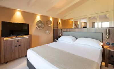 King Deluxe Accessible Room