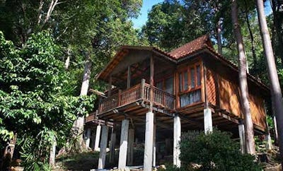 RAINFOREST CHALET