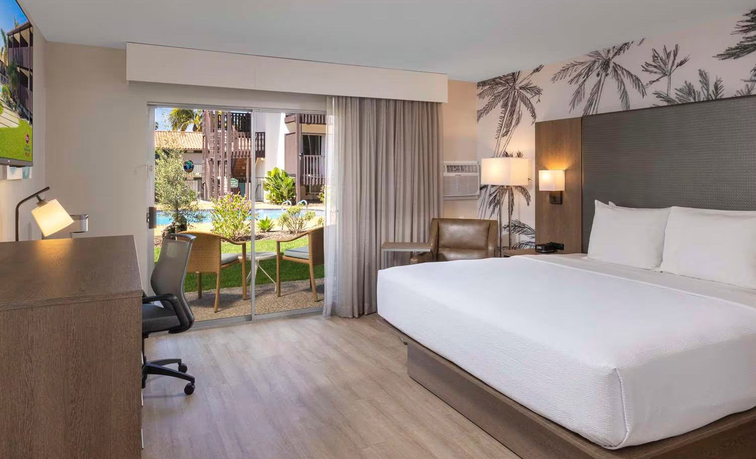 Larger Room 1 King Bed