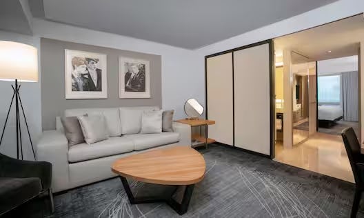 Deluxe Suite with One King Bed