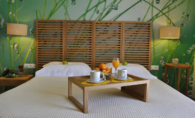 MASTER SUITE SERENITY