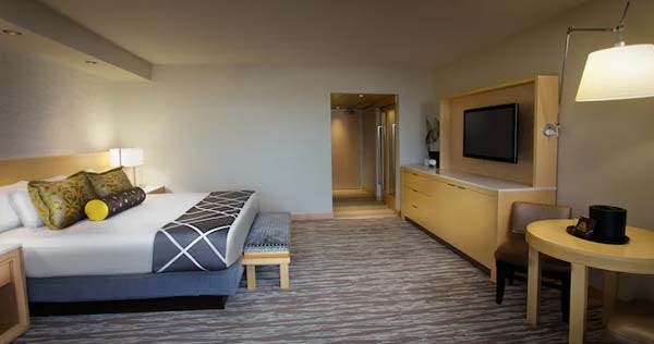 disneys-contemporary-resort-standard-room-02_8324