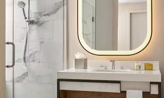 1KING DLX SUITE MOBILITY ACCESS W/TUB-SOFABED