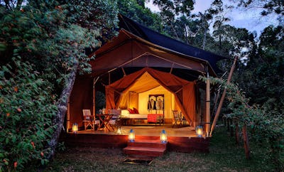 Safari Tents