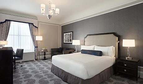 Junior Family Suite 1 Queen Bed + Sofabed