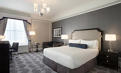 Junior Family Suite 1 Queen Bed + Sofabed