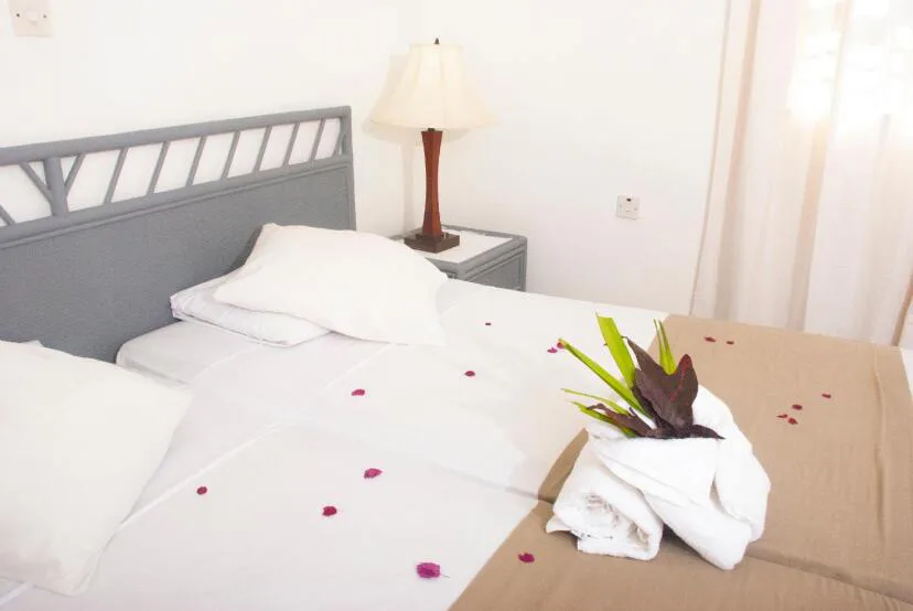 One Bedroom Apartment