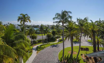 Island View Onebedroom Palm Suite