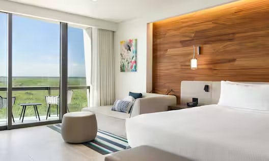 Tropical View One King Bed Guestroom