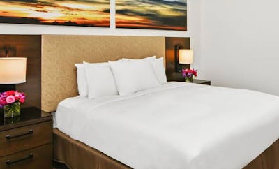 1 KING BED MOBILITY ACCESSIBLE WITH BATHTUB