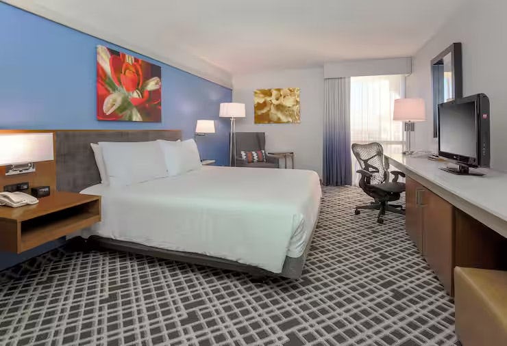 hilton-garden-inn-dallas-market-center-usa-1-king-bed_5728