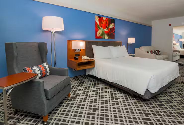 hilton-garden-inn-dallas-market-center-usa-1-king-bed-deluxe-with-sofabed_5728