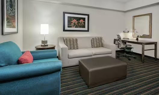 1 KING BED 1 BEDROOM SUITE WITH SOFABED