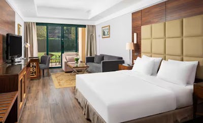 King Executive Superior