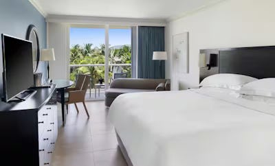 Resort View 1 King Bed