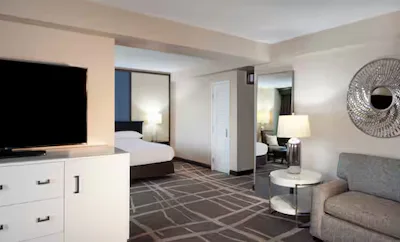 1 King Bed Studio Suite