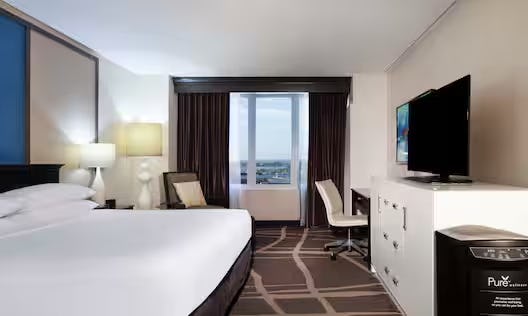 1 King Pure Wellness Room