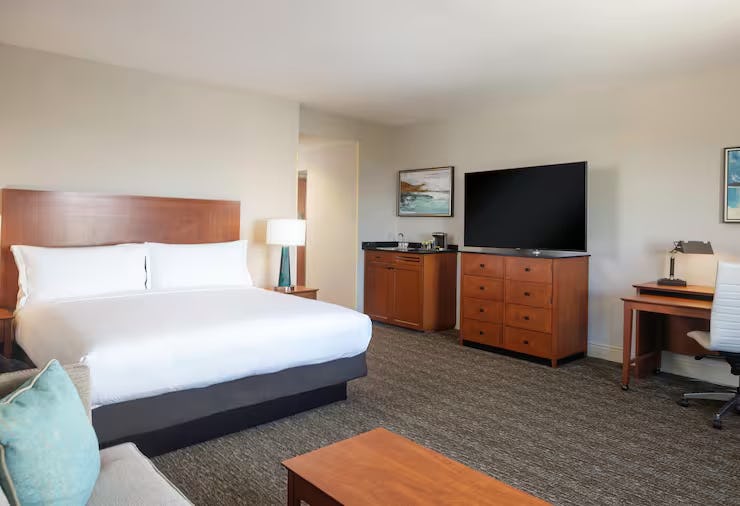 1 King Bed 1 Bedroom Mini Suite