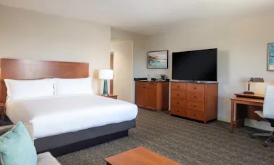 1 King Bed 1 Bedroom Mini Suite