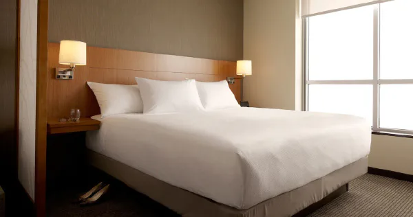 Accessible King Bed/Roll-In Shower (with sofa bed)