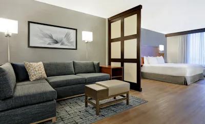 Accessible King Bed/Tub (with sofa bed)