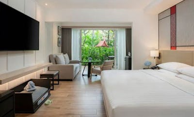 King Bed Pet Friendly Deluxe