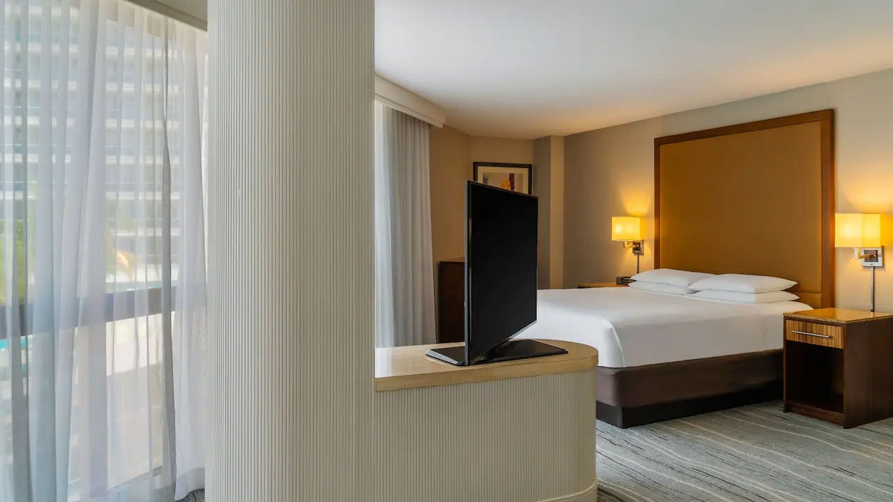 Panorama Suite One King Bed