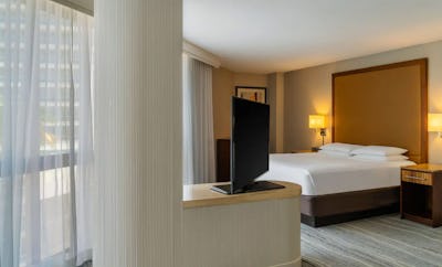 Panorama Suite One King Bed