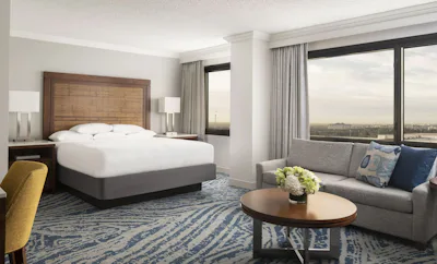 1 King Bed, Larger Guest Room