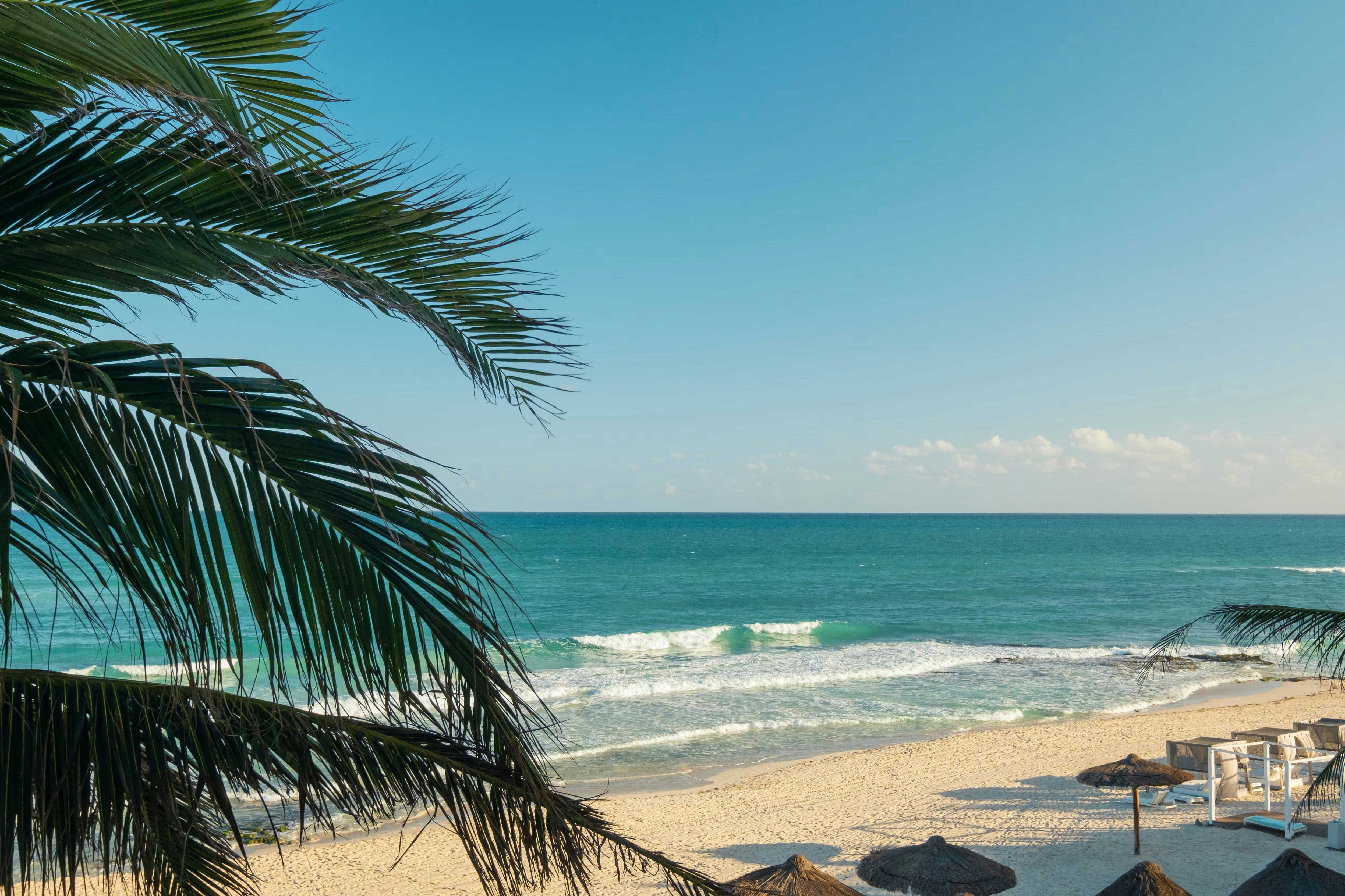 joia-paraíso-by-iberostar-riviera-maya-mexico-panoramic-oceanfront-butler-suite-01_11103