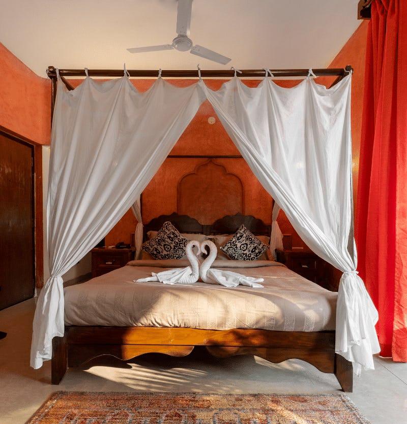 justa-morjim-beach-goa-india-premium-room-with-private-balcony-01_13146