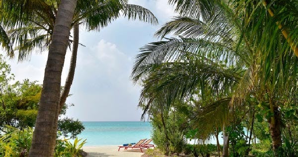kandima-maldives-beach-villa-swirl-pool-02_10395
