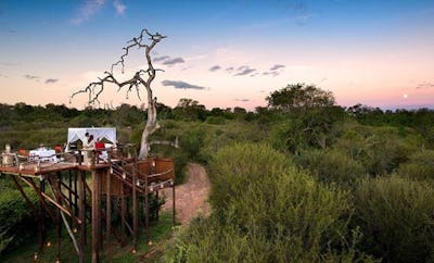 Lion Sands Treehouses