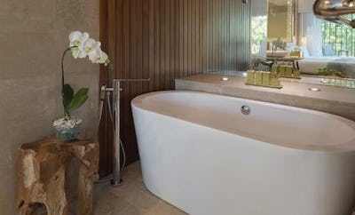 Impressive Nest Suite