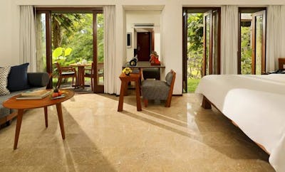 Impressive Forest Suite