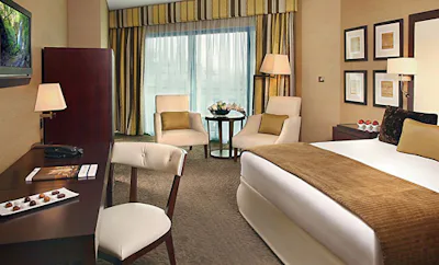 Deluxe Room With 1 King-Size Bed, Pool View