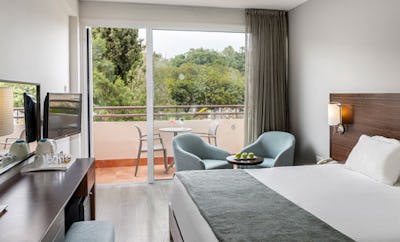 Superior Rooms Inland View