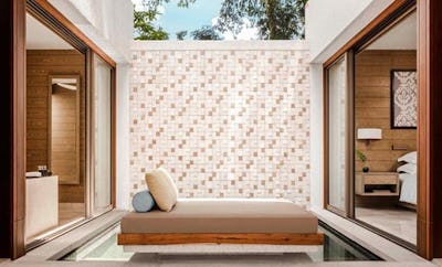 Rainforest Junior Suite