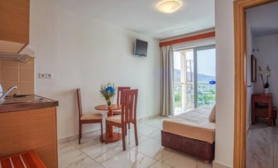 One Bedroom Apartment