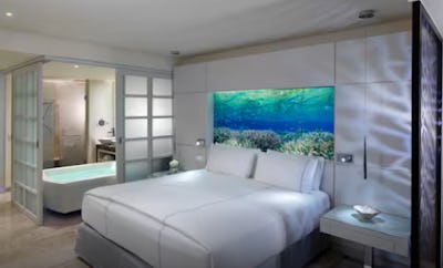 Junior Suite Nature View