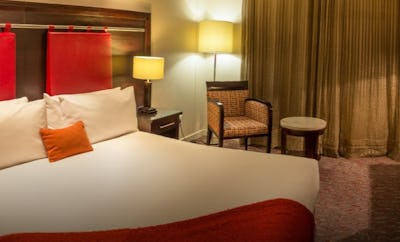 Superior Rooms (1 King Bed)