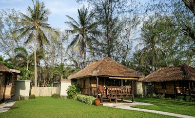 Palm View Bungalow