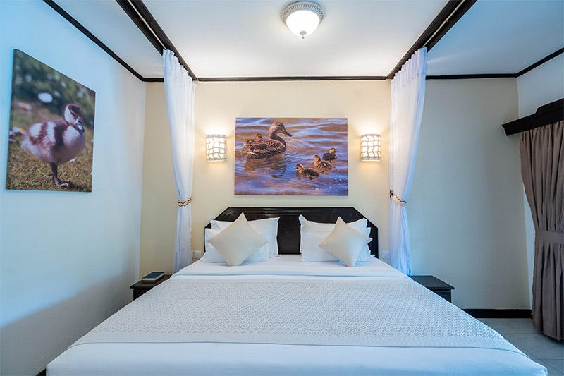 prideinn-flamingo-beach-resort-and-spa-mombasa-standard-room_7861