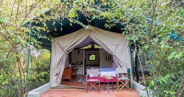 prideinn-mara-camp-masai-mara-savannah-tents_9977