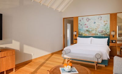 Deluxe Water Villa with Pool