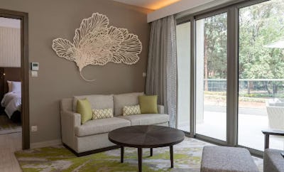 Junior Suite Park View