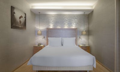 Presidential Suite with Balcony - Park View